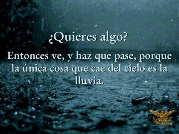 Quieres algo? - Frases de la vida