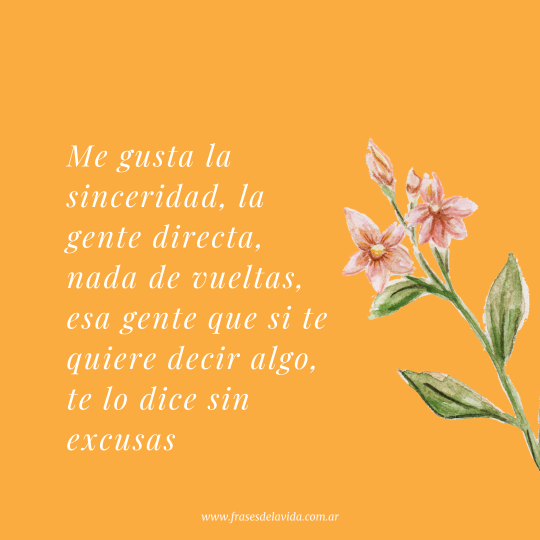 Me gusta la sinceridad, la gente directa, nada de vueltas, esa gente que si  te quiere decir algo, te lo dice sin excusas. - Frases de la vida