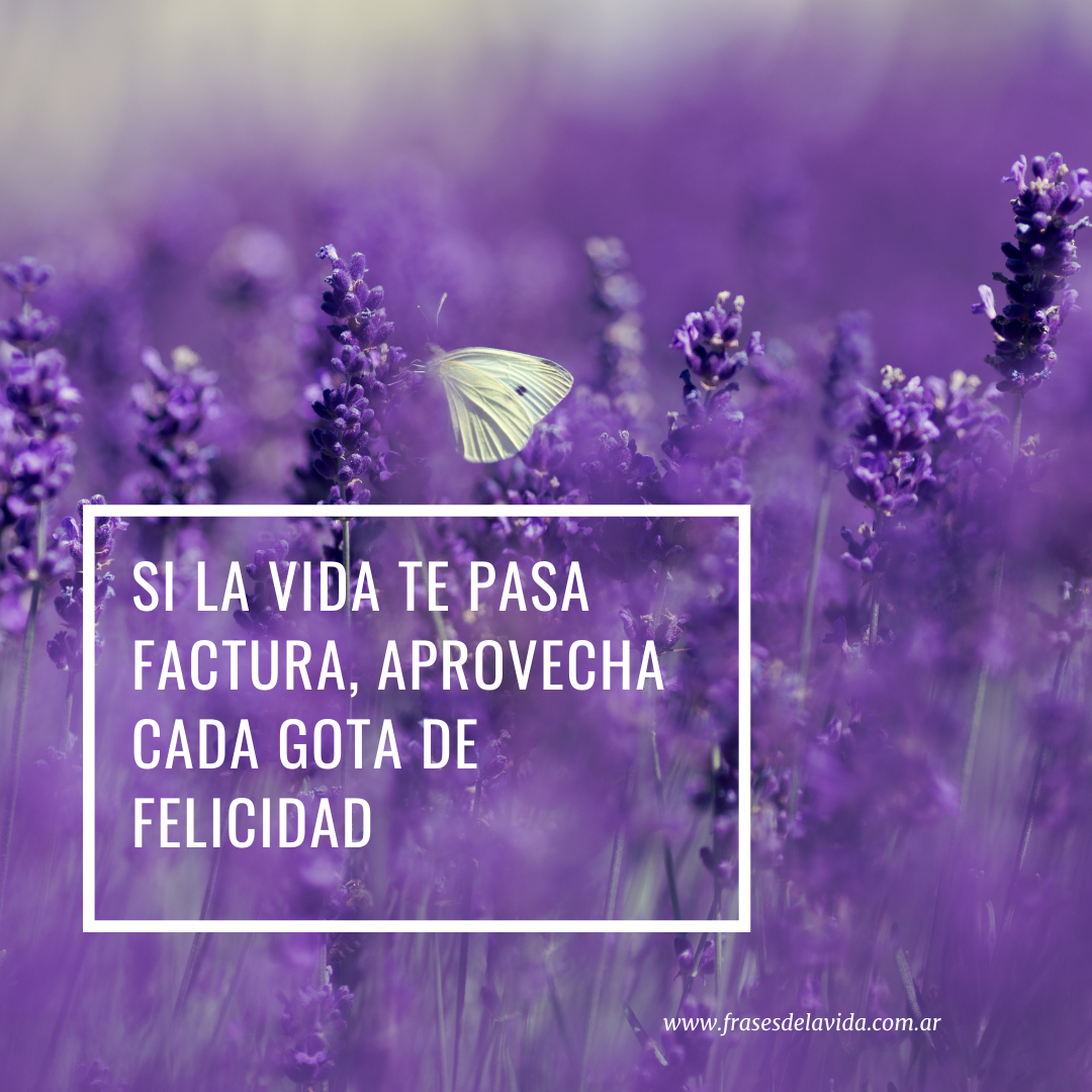 Si la vida te pasa factura, aprovecha cada gota de felicidad - Frases de la  vida