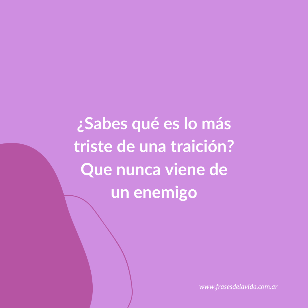 Sabes qué es lo más triste de una traición? Que nunca viene de un enemigo -  Frases de la vida